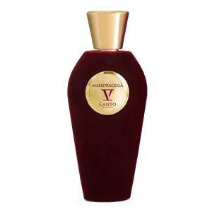 V Canto Mandragola EDP 100ML